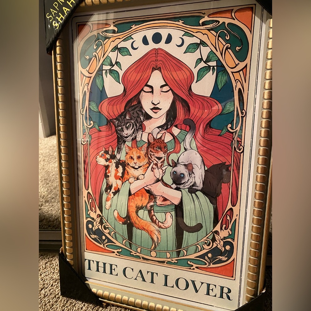 Sapna Shah THE CAT LOVER Framed Art Print